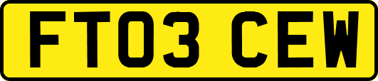 FT03CEW