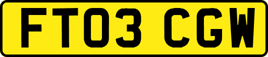 FT03CGW