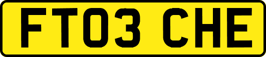 FT03CHE