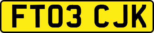 FT03CJK