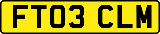 FT03CLM