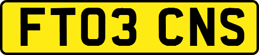 FT03CNS