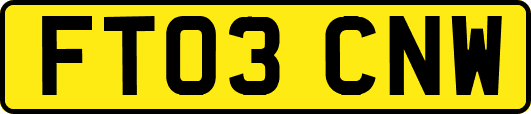 FT03CNW