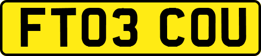 FT03COU