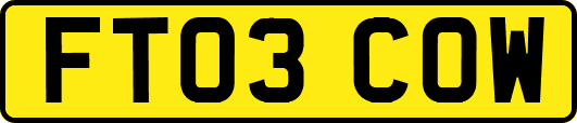 FT03COW