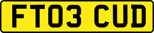 FT03CUD
