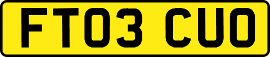 FT03CUO
