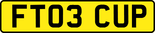 FT03CUP
