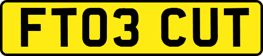 FT03CUT