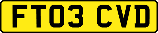 FT03CVD
