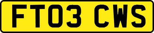 FT03CWS