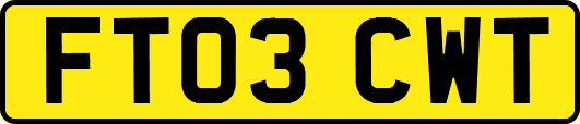 FT03CWT
