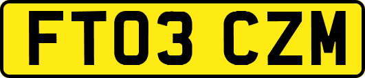 FT03CZM