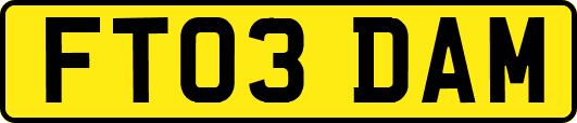 FT03DAM