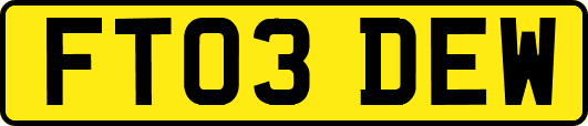 FT03DEW
