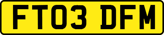 FT03DFM