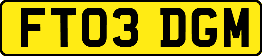 FT03DGM