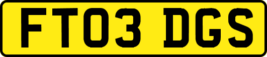 FT03DGS