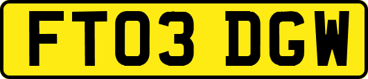 FT03DGW