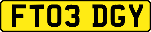 FT03DGY