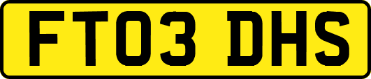 FT03DHS