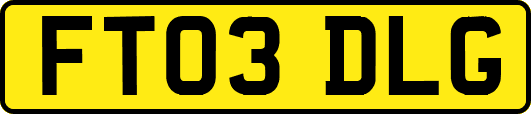 FT03DLG