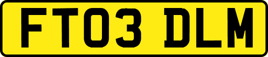 FT03DLM