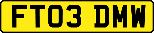FT03DMW