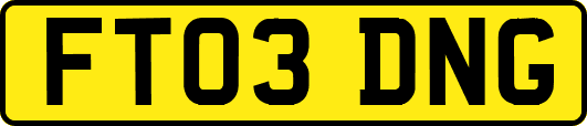 FT03DNG