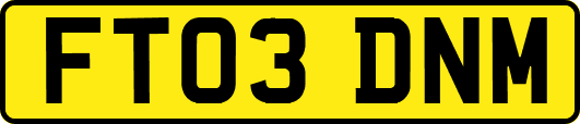 FT03DNM