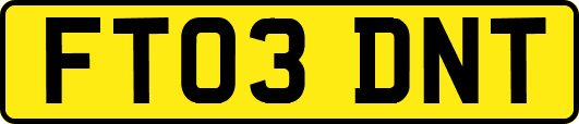 FT03DNT