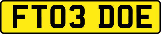 FT03DOE