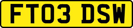 FT03DSW