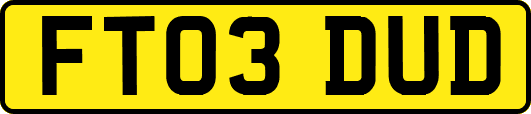 FT03DUD
