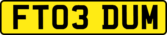 FT03DUM