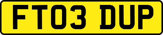 FT03DUP