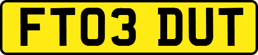 FT03DUT