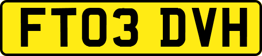 FT03DVH