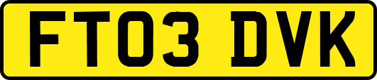 FT03DVK