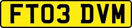FT03DVM