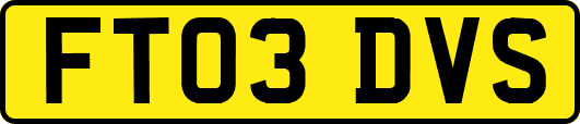 FT03DVS
