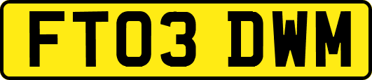 FT03DWM