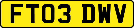 FT03DWV
