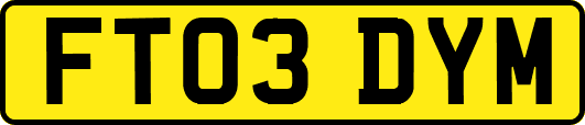 FT03DYM