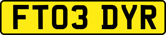 FT03DYR