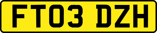 FT03DZH