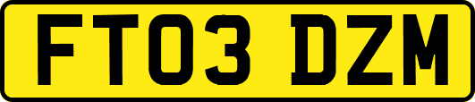 FT03DZM
