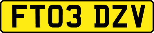 FT03DZV