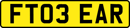 FT03EAR