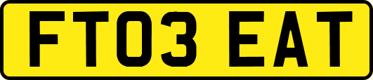 FT03EAT